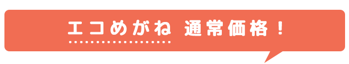 エコめがね 通常価格！
